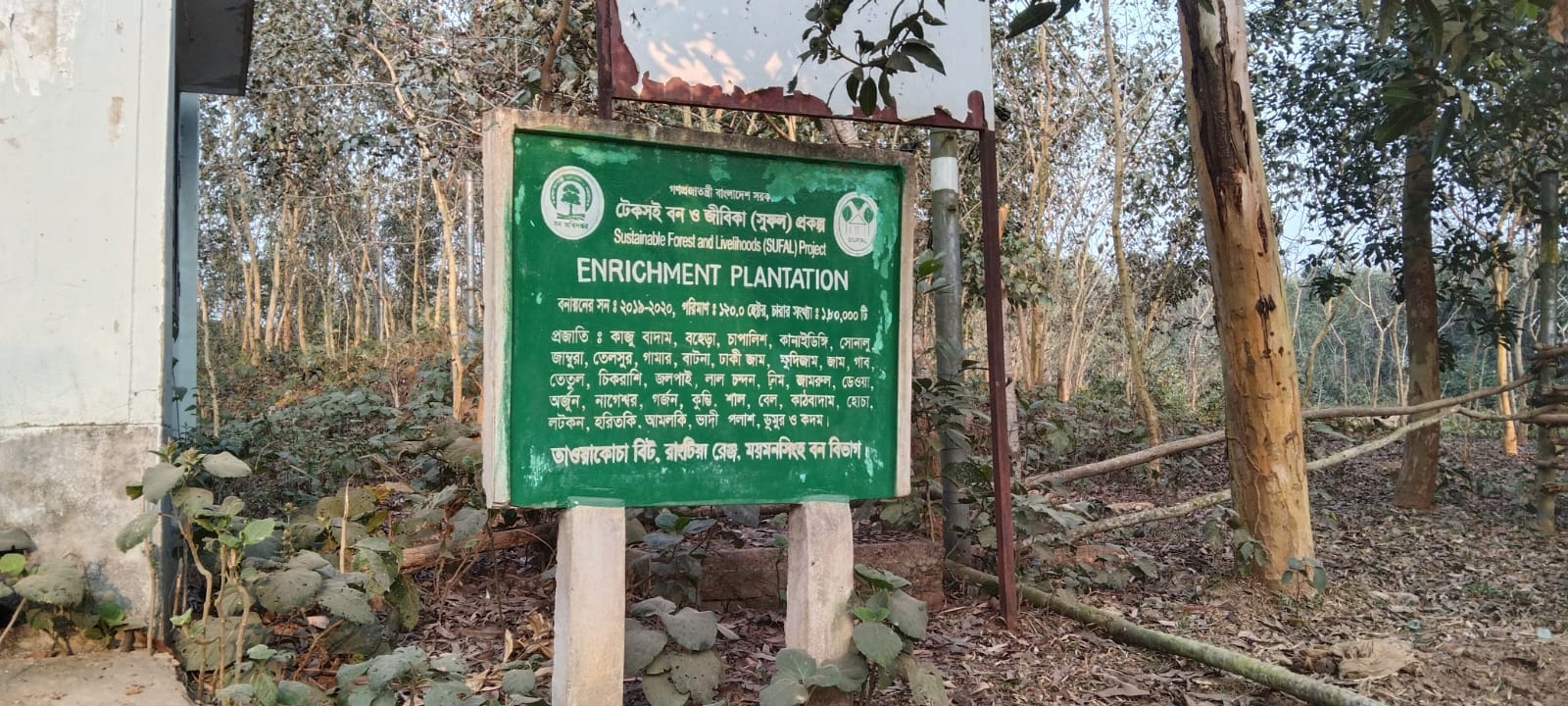 শেরপুরের গারো পাহাড়ে সুফল বাগান সৃজনের নামে সরকারি অর্থ হরিলুটের অভিযোগ