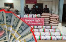 সিলেট সীমান্ত দিয়ে ভারতে চলে যাচ্ছে ডলারে কেনা রসুন