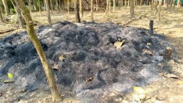 “থানায় অভিযোগ দায়ের” ছাতকে খড়ের ভোলায় দুর্বৃত্তদের দেয়া আগুনে পুড়ে ছাঁই