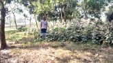 কলকলিয়ায় উন্মুক্ত কবরস্থান দান করেছেন প্রবাসী মোঃ গোলাব আলী