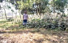 কলকলিয়ায় উন্মুক্ত কবরস্থান দান করেছেন প্রবাসী মোঃ গোলাব আলী