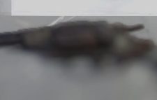 সুনামগঞ্জের জগন্নাথপুরে বিদেশি রি*ভ*ল বার জ*ব্দ