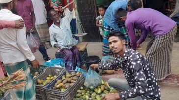 জগন্নাথপুরে ক্ষিড়া বিক্রি জমজমাট, যদিও বেশী দাম