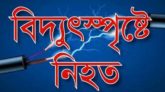 জগন্নাথপুরে বিদ্যুৎ স্পৃষ্টে একজন নিহত