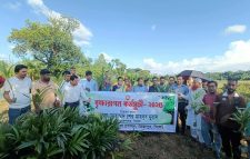 জৈন্তাপুরে জেলা প্রশাসক উদ্বোধন করলেন “বৃক্ষরোপন কর্মসূচি-২০২৫”