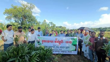 জৈন্তাপুরে জেলা প্রশাসক উদ্বোধন করলেন “বৃক্ষরোপন কর্মসূচি-২০২৫”