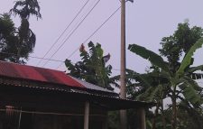 দোয়ারাবাজারে ছয় পরিবার বিদ্যুৎ থেকে বিচ্ছিন্ন,চরম মানবেতর জীবনযাপন করতে দেখা গেছে,