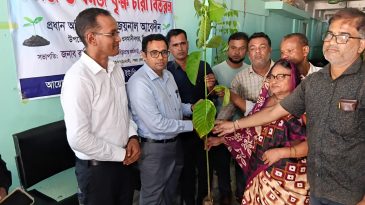 ওসমানীনগরে বৃক্ষরোপণ কর্মসূচি: গোয়ালাবাজার ইউনিয়নে ৮০০টি গাছের চারা রোপণ