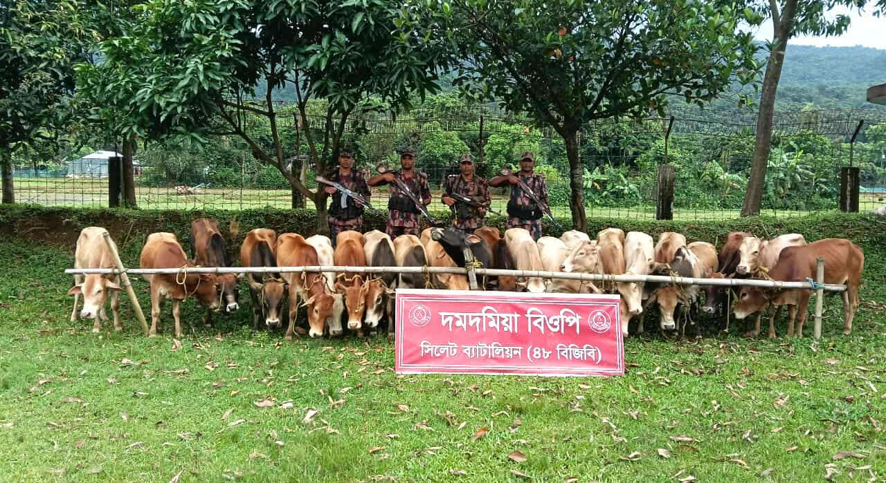 সিলেটে বিজিবির অভিযান | জব্দ করা হয়েছে “১ কোটি ২০ লক্ষ টাকার চোরাচালানী মালামাল”