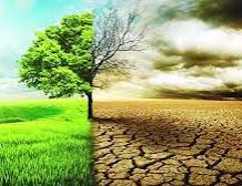 জলবায়ূ পরিবর্তনে হুমকির মুখে সিলেট